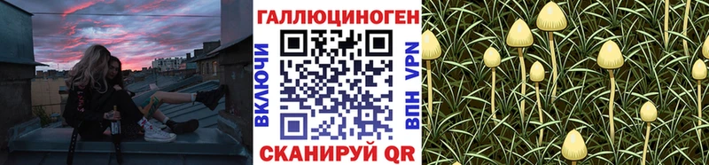 Псилоцибиновые грибы Psilocybine cubensis  Белово 