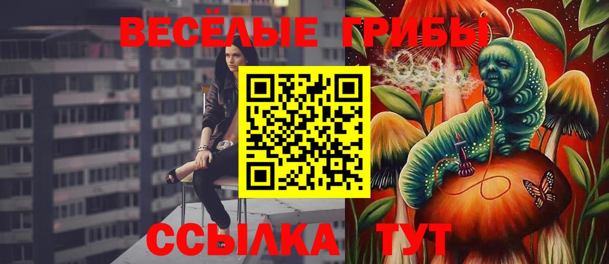 Псилоцибиновые грибы GOLDEN TEACHER  Вход с VPN  Белово 