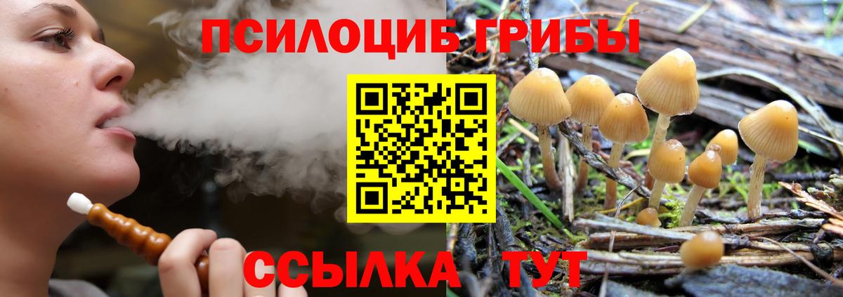 Псилоцибиновые грибы Magic Shrooms Белово